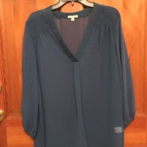 Pleione long sleeve sheer blouse